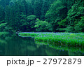 池のほとり 27972879
