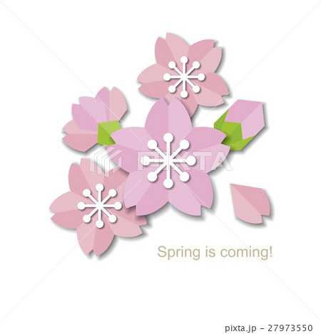 Paper style sakura design Paper style sakura design 27973550