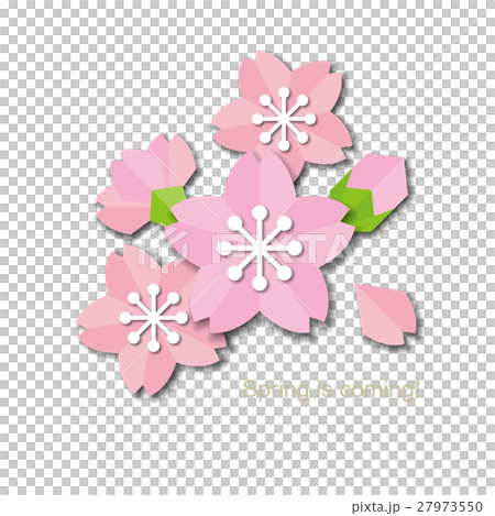 Paper style sakura design Paper style sakura design 27973550