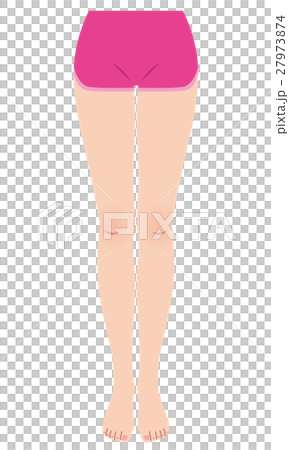 正常腿部骨盆畸形矯正 正常腿部骨盆畸形矯正 27973874