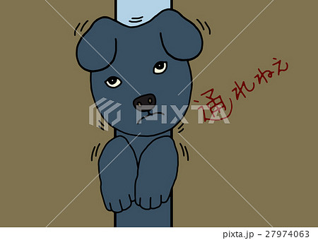 挟まってしまった犬 挟まってしまった犬 27974063