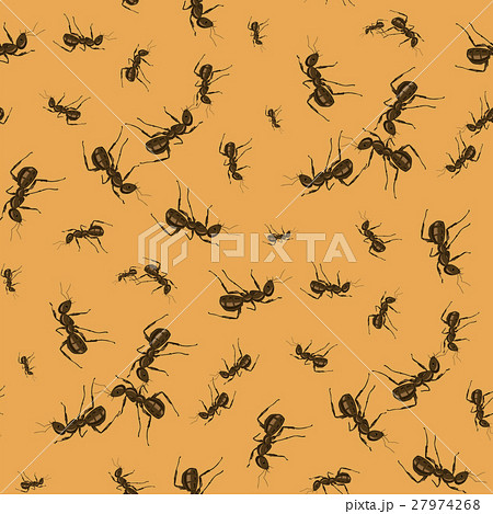 Ant Seamless Pattern 27974268