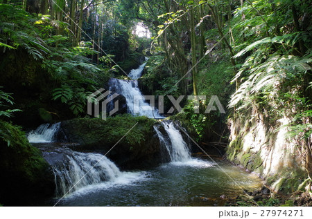 自然の中の滝 27974271