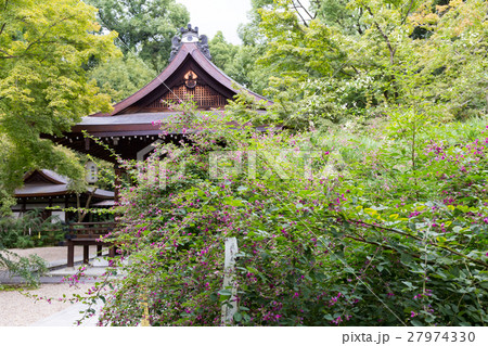 萩 - 梨木神社 27974330