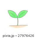 新芽 27976426