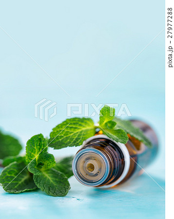 mint essential oil mint essential oil 27977288