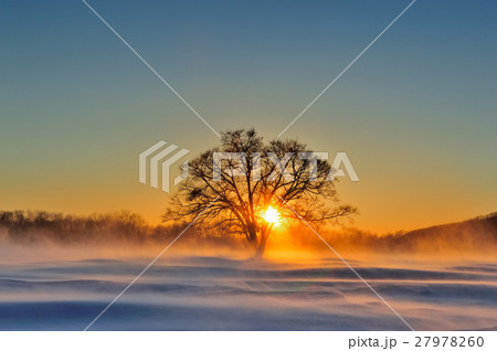 孤高光輝 孤高光輝 27978260