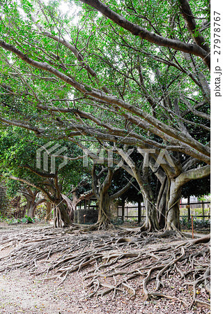 沖縄 沖縄 27978767