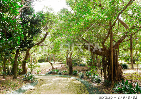 沖縄 沖縄 27978782