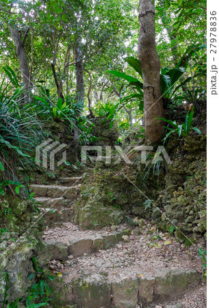 沖縄 沖縄 27978836