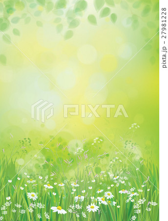 Vector summer nature   background. 27981228