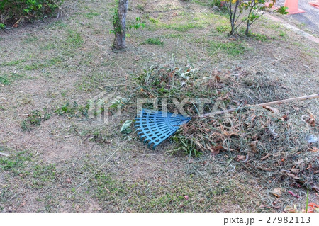 Broom leave Plastic in a garden Broom leave Plastic in a garden 27982113