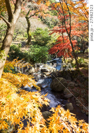 熱海梅園の紅葉 熱海梅園の紅葉 27982523