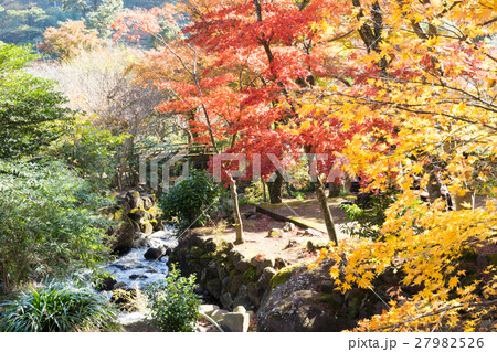 熱海梅園の紅葉 熱海梅園の紅葉 27982526