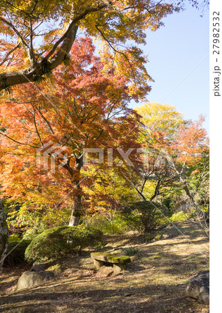 熱海梅園の紅葉 熱海梅園の紅葉 27982532