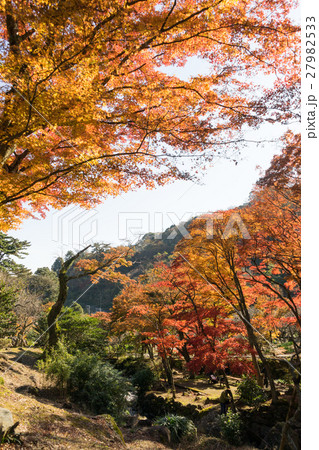 熱海梅園の紅葉 熱海梅園の紅葉 27982533