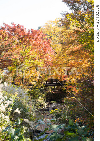 熱海梅園の紅葉 熱海梅園の紅葉 27982538