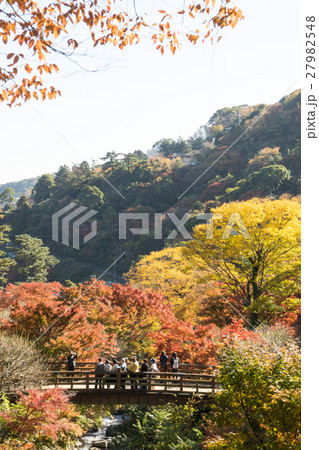 熱海梅園の紅葉 熱海梅園の紅葉 27982548