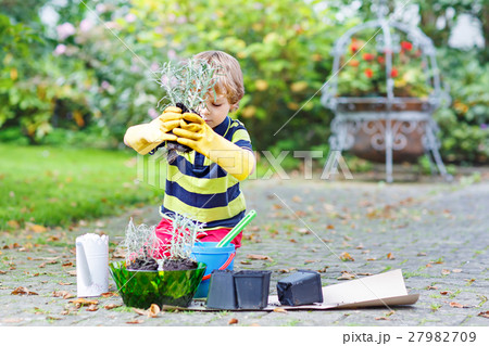 Funny little kid boy planting flowers in garden on 27982709