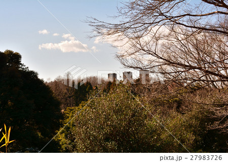 横浜・根岸森林公園 27983726
