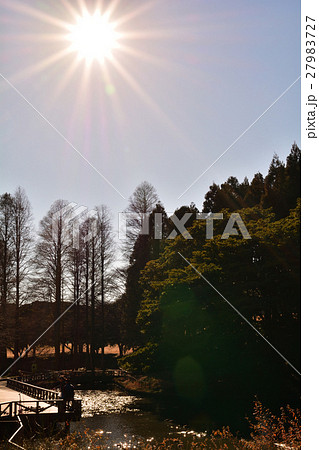 横浜・根岸森林公園 横浜・根岸森林公園 27983727