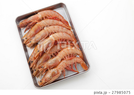海老 27985075