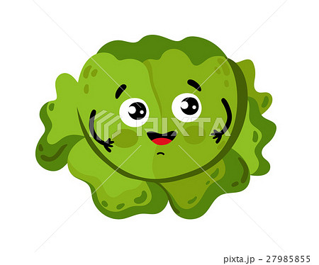 Funny vegetable cabbage cartoon character Funny vegetable cabbage cartoon character 27985855