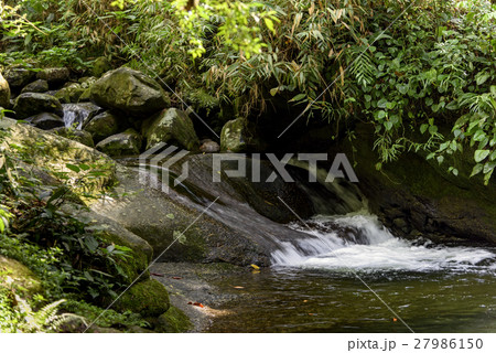 River in Itatiaia National Park River in Itatiaia National Park 27986150