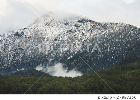 Green slopes of the Taurus mountains covered with Green slopes of the Taurus mountains covered with 27987256