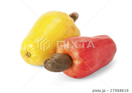 Brazilian Caju Cashew Fruit Brazilian Caju Cashew Fruit 27988616