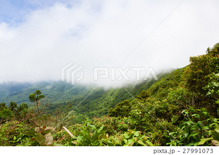 Rainforest landscape in Monteverde Costa Rica 27991073