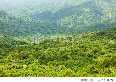 Rainforest landscape in Monteverde Costa Rica Rainforest landscape in Monteverde Costa Rica 27991079