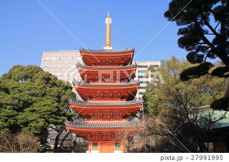 東長寺（福岡市） 27991995