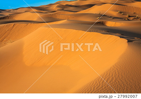 Sand dunes in the Sahara Desert, Merzouga, Morocco 27992007