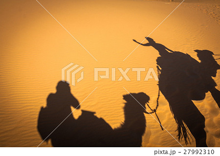 Caravan camels walking shadows projected Caravan camels walking shadows projected 27992310