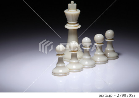 chess 27995053