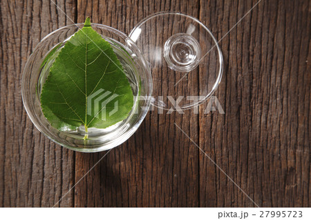 mulberry leaf mulberry leaf 27995723