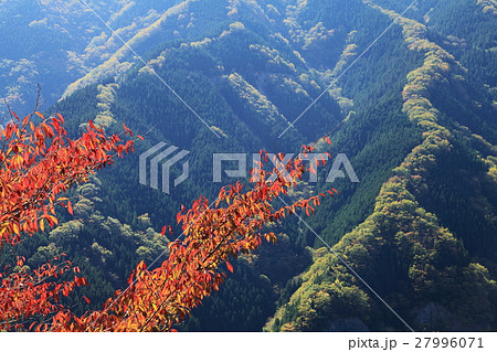 行者還岳の山紅葉の写真素材