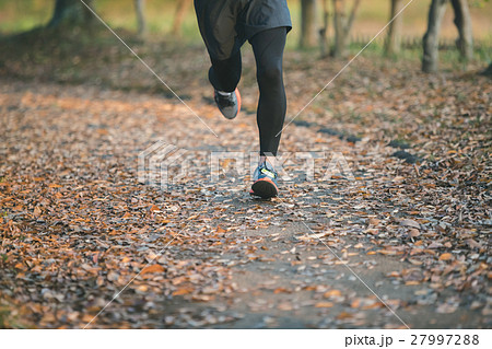 martial artist 27997288