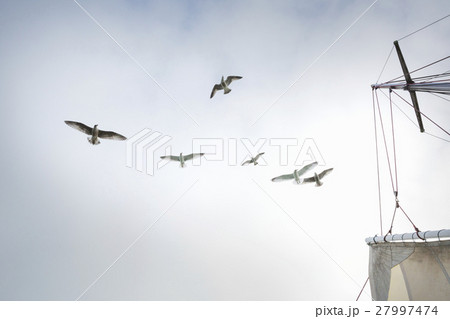 26475 26475 27997474