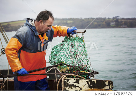 26465 26465 27997476