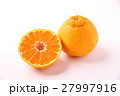 デコポン（不知火） 27997916