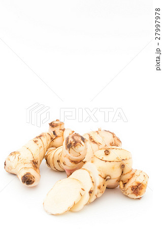 ガランガル:galangal ガランガル:galangal 27997978