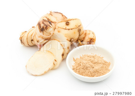 ガランガル:galangal ガランガル:galangal 27997980
