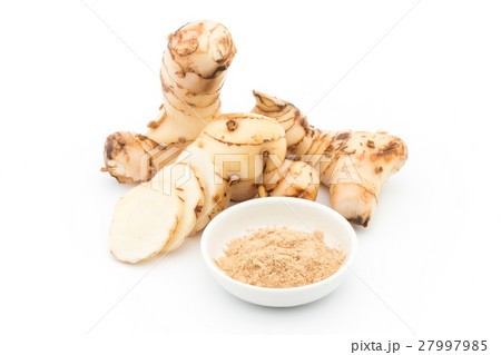 ガランガル：galangal 27997985