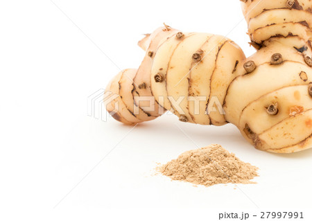 ガランガル：galangal 27997991