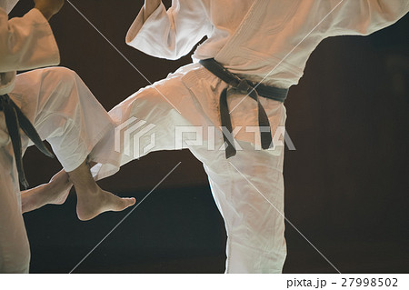 martial artist 27998502
