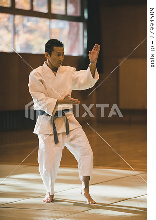 martial artist 27998509