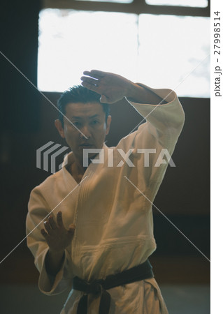 martial artist 27998514