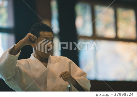 martial artist 27998524